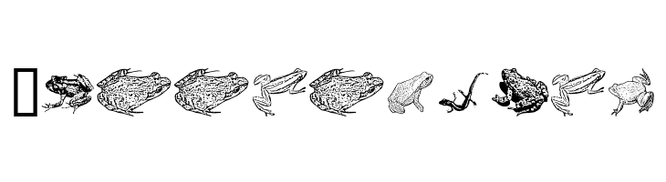 AmphibiPrint  Free Fonts Download