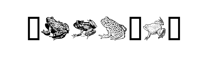 AmphibiPrint  Free Fonts Download