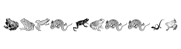 AmphibiPrint  Free Fonts Download