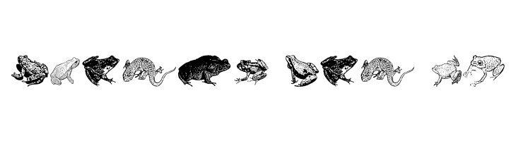 AmphibiPrint  Free Fonts Download