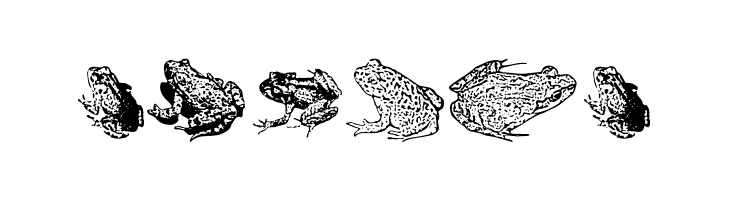 AmphibiPrint  Free Fonts Download