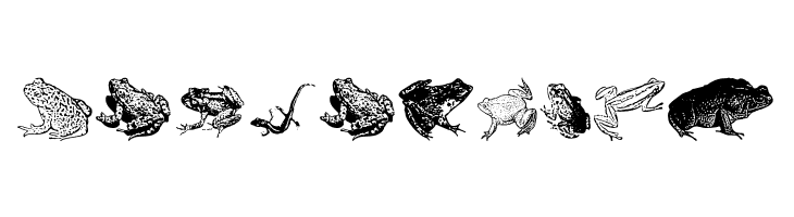 AmphibiPrint  Free Fonts Download