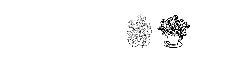 pansies4sheila  Free Fonts Download