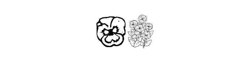pansies4sheila  Free Fonts Download