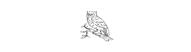 AEZ Owls for Traci  Free Fonts Download