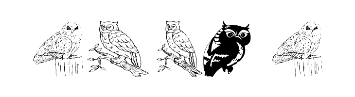 AEZ Owls for Traci  Free Fonts Download