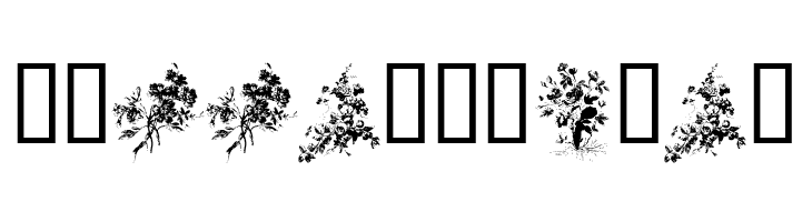 Florals1  Free Fonts Download