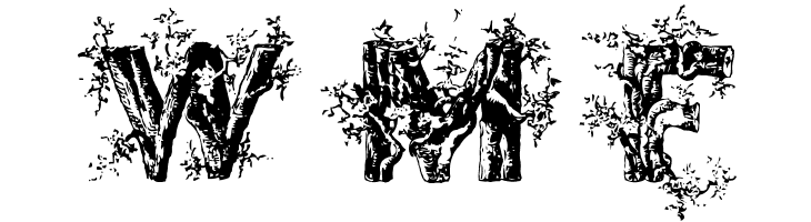 DeepWoodsInitials  Free Fonts Download