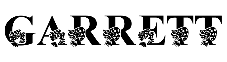 America LSF  Free Fonts Download