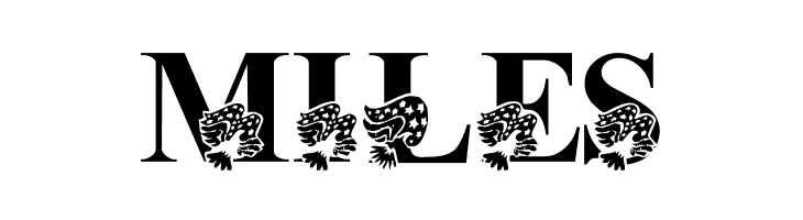 America LSF  Free Fonts Download