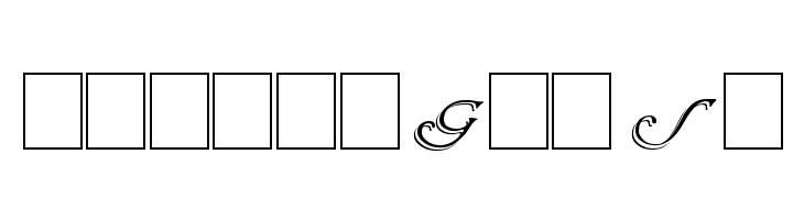 Wrenn Initials Shadowed  Free Fonts Download