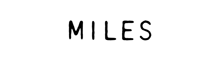 DaisyWheel  Free Fonts Download