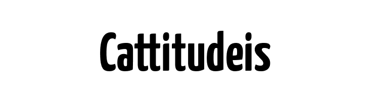 Yanone Kaffeesatz Bold  Free Fonts Download