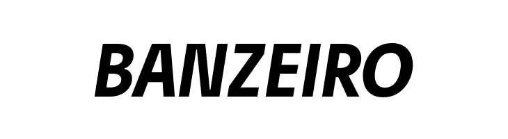 Josef Pro Bold Italic  Free Fonts Download