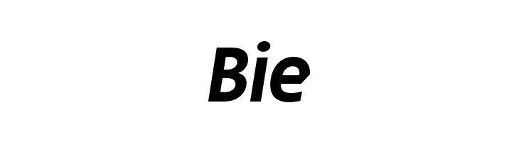 Josef Pro Bold Italic  Free Fonts Download