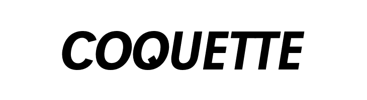 Josef Pro Bold Italic  Free Fonts Download