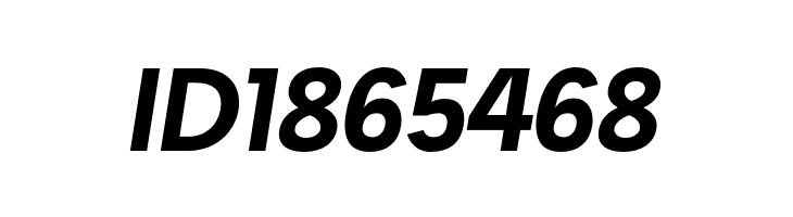 Josef Pro Bold Italic  Free Fonts Download