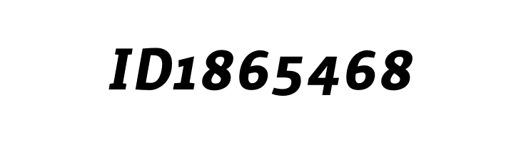 Surface Bold Italic  Free Fonts Download