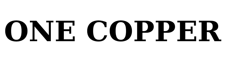 CheapProFonts Serif Pro Bold  Free Fonts Download