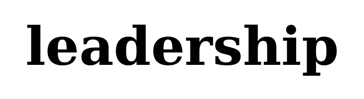 CheapProFonts Serif Pro Bold  Free Fonts Download