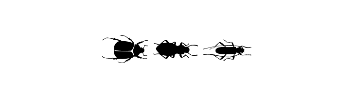 ChileanBugs  Free Fonts Download