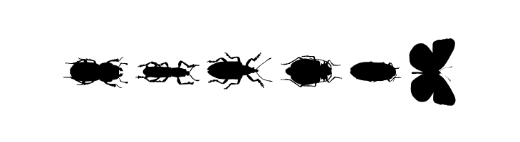 ChileanBugs  Free Fonts Download