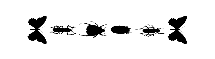 ChileanBugs  Free Fonts Download