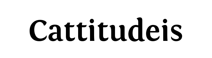 Fontin Bold  Free Fonts Download