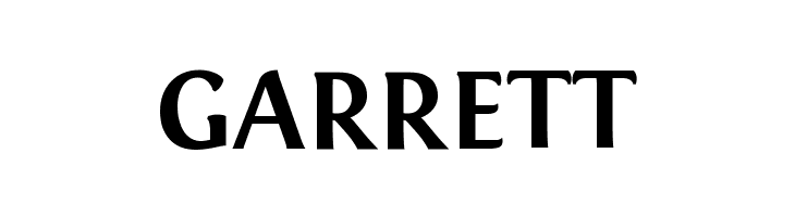 Fontin Bold  Free Fonts Download