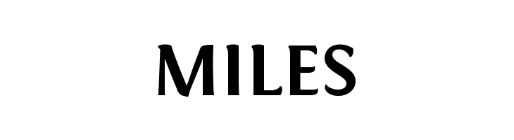 Fontin Bold  Free Fonts Download