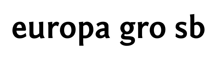 Fontin Sans Bold  Free Fonts Download