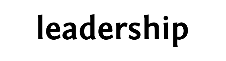 Fontin Sans Bold  Free Fonts Download