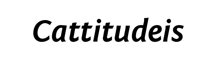 Fontin Sans Bold Italic  Free Fonts Download