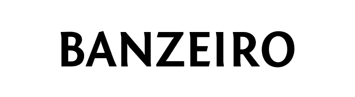 Fontin Sans CR Bold  Free Fonts Download