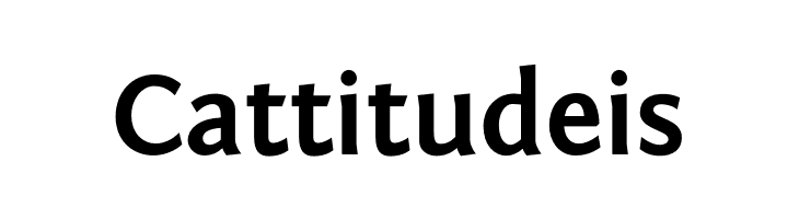 Fontin Sans CR Bold  Free Fonts Download