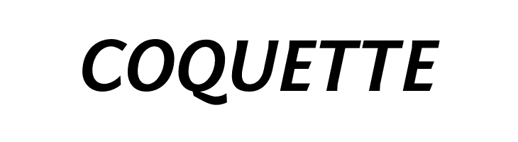 Fontin Sans CR Bold Italic  Free Fonts Download