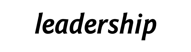 Fontin Sans CR Bold Italic  Free Fonts Download