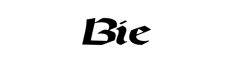 DriscollSSK BoldItalic  Free Fonts Download