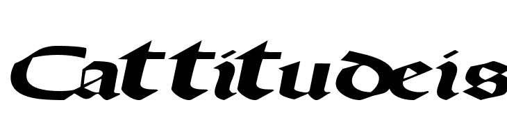 DriscollSSK BoldItalic  Free Fonts Download