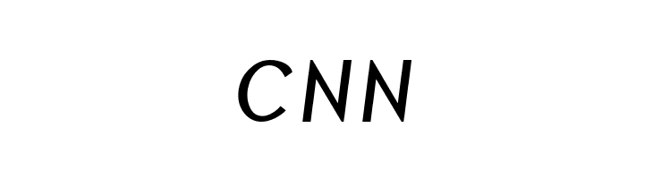 Borzoi BoldItalic  Free Fonts Download