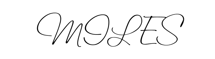 Saginaw  Light  Free Fonts Download