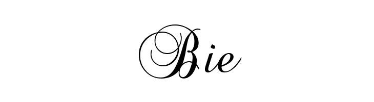 BrockScript  Free Fonts Download