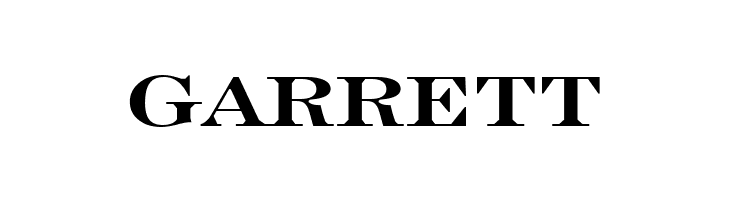 Engravers' Roman Bold BT  Free Fonts Download