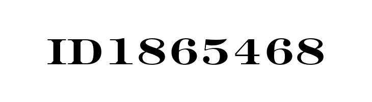 Engravers' Roman Bold BT  Free Fonts Download