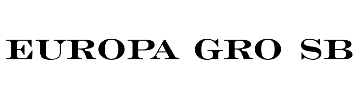 Engravers' Roman Bold BT  Free Fonts Download