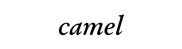 Baramond Bold Italic  Free Fonts Download