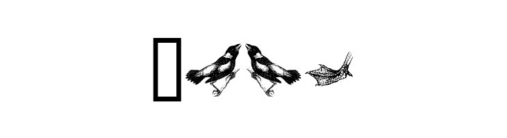 birds a  Free Fonts Download