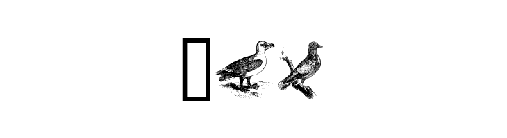birds a  Free Fonts Download