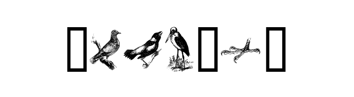 birds a  Free Fonts Download