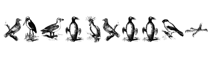 birds a  Free Fonts Download